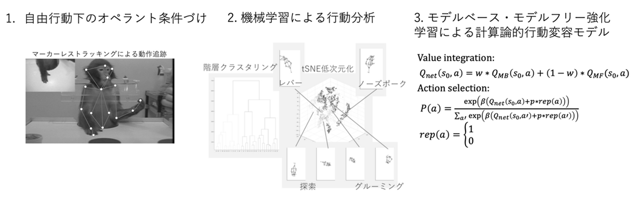 研究に関連する図版