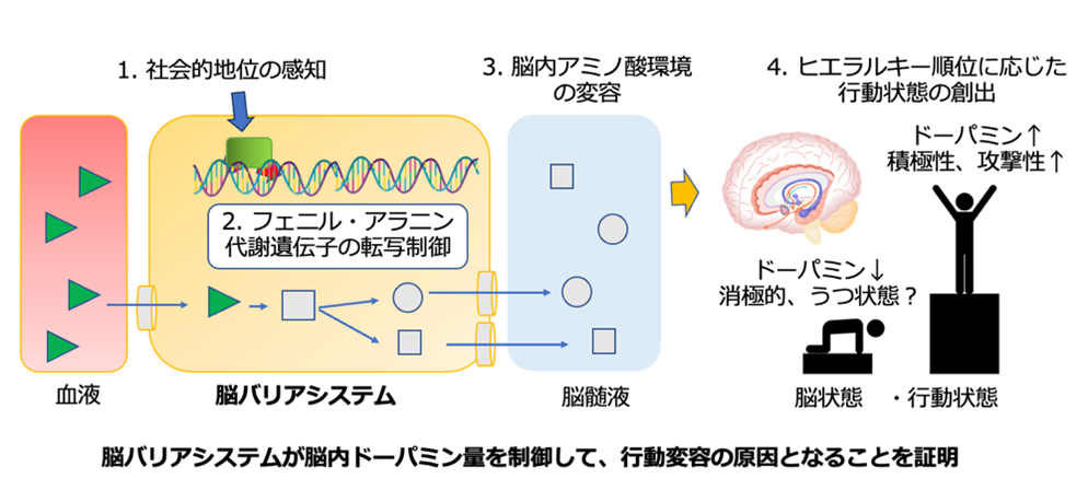 研究に関連する図版